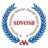 Service Disabled Veteran Owned Small Business